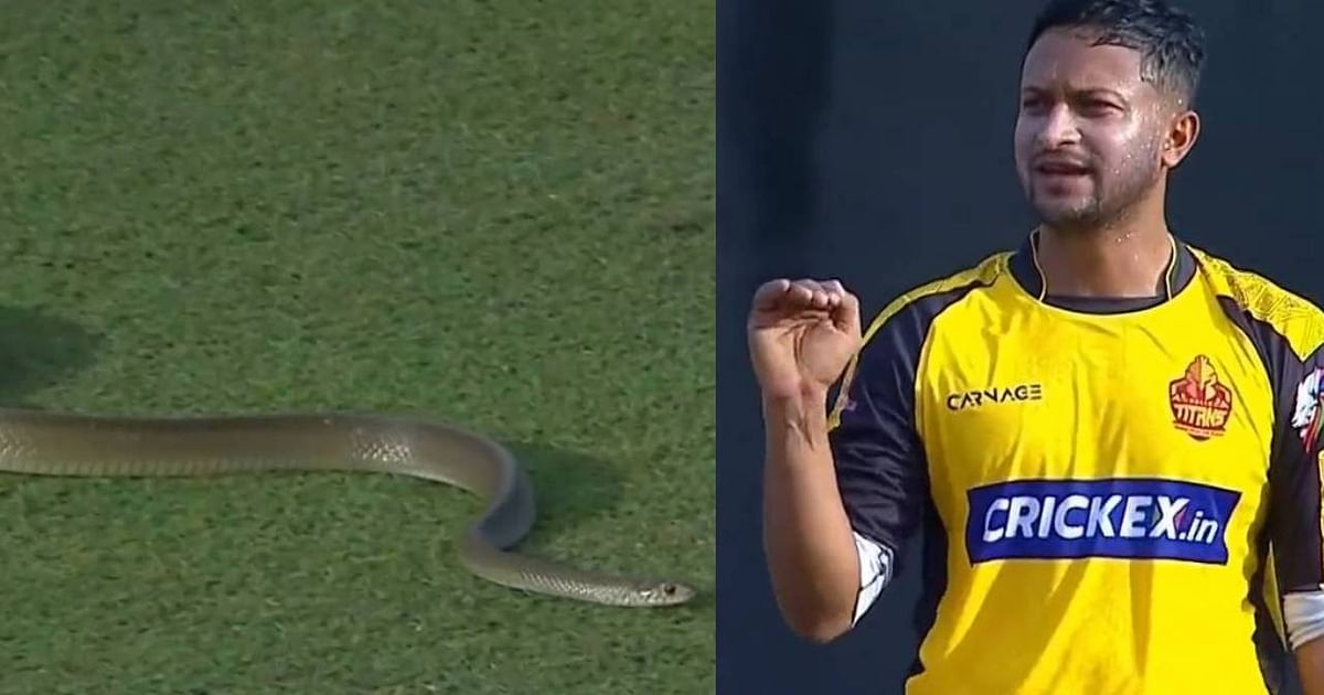 Watch Snake stopped the game in Lanka Premier League Shakib